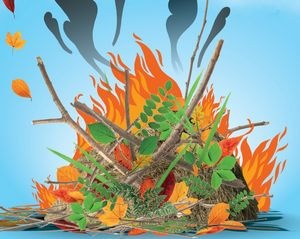 Brûlage des déchets végétaux : arrêté permanent pour le Calvados